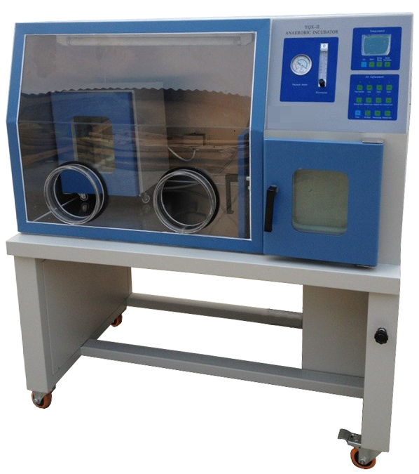 Anaerobic Incubator LG-Yqx-II for Medical Use